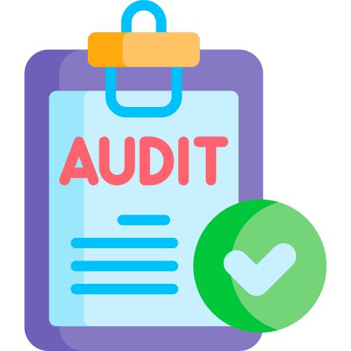audit