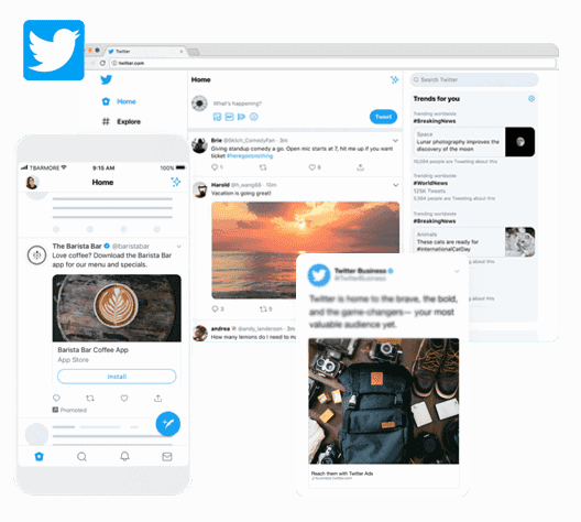 X Audience Engagement